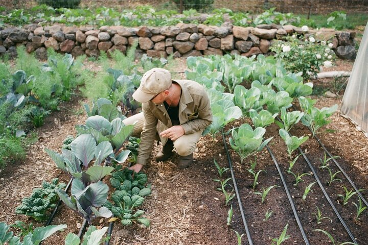 Private Farm Workshop in Napa Valley - Photo 1 of 7